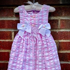Bonnie Baby Pink Gingham Dress & Bloomers 24MO